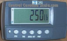 250